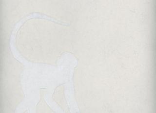 Фото - Обои Andrew Martin Holly Frean - 364420>