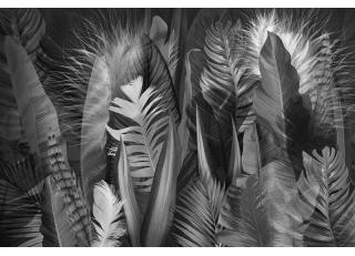 Фото - Обои Ortograf Levity - 477101>