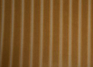 Фото - Ткани Foresti Home Collection Velluto a coste larghe - 563319>