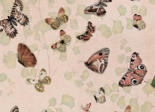 Фото - Обои Coordonne Naturae - 559394>