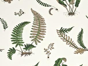 Фото - Обои G.P. and J.Baker Signature Wallpaper - 378617>