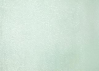 Фото - Обои Fromental Serigraphe - 319382>