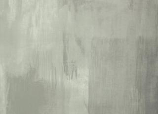 Фото - Обои Designers Guild Plains and Textures - 250615>