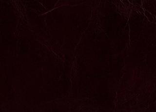 Фото - Аксессуары для интерьера Pavoni - 588778>