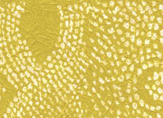 Фото - Обои Elitis Washi - 377694>