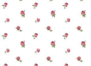 Фото - Обои Architector Provence - 576238>