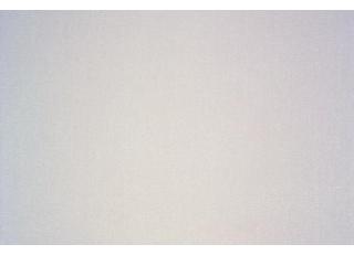 Фото - Ткани Rubelli Olimpia - 493096>