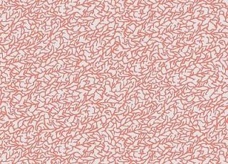 Фото - Обои Hookedonwalls Hidden Treasures - 350361>