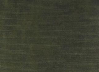 Фото - Ткани Clarke&Clarke Majestic Velvet - 296322>