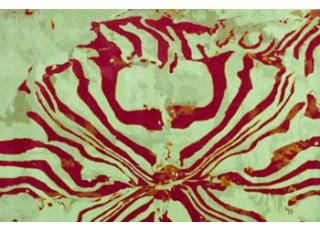 Фото - Ковры Pinton Editor carpets - 493958>