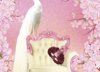 Фото - Обои Ortograf Paradise - 477295>