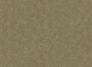 Фото - Обои Roberto Cavalli No.8 - 540555>