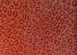 Фото - Обои Epoca Wallcoverings Amazon River - 551585>