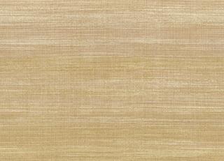 Фото - Обои Parato Cristiana Masi Cromie - 581356>