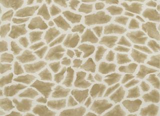 Фото - Обои Thibaut Colony - 473286>