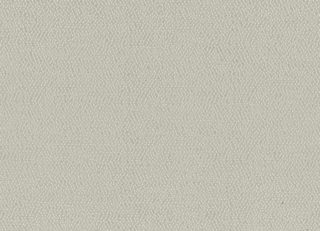 Фото - Ткани Rubelli Sharky - 624124>