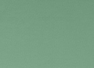 Фото - Ткани Clarke&Clarke Spectrum Fabrics - 363019>