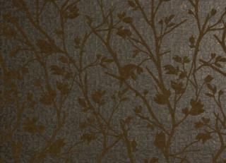 Фото - Обои Zimmer + Rohde Identity - 351085>