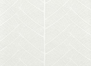 Фото - Обои Sandudd Rolleri 7 - 422410>