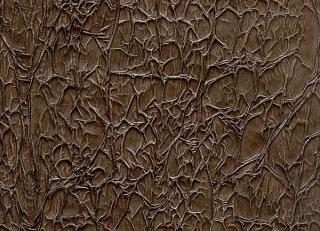 Фото - Обои Arlin Velawall - 342125>