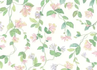 Фото - Обои Cole & Son Selection of Hummingbirds - 626736>