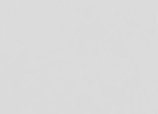 Фото - Ткани Villa Nova Firenze - 486924>