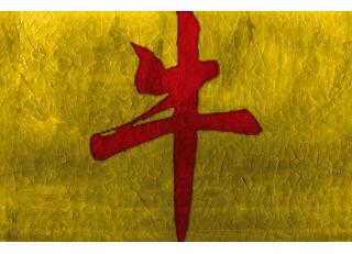 Фото - Обои Wall&Deco CODE 2014 CONTEMPORARY - 463719>