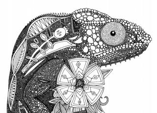 Фото - Обои Ortograf Шэрон Тёрнер - 479844>