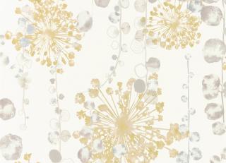 Фото - Обои Harlequin Anthozoa - 342815>