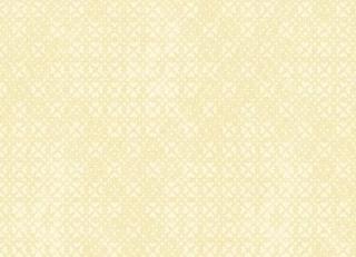 Фото - Обои Shinhan Focus - 554896>