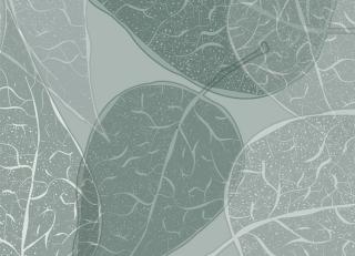 Фото - Обои Ango Linea Natural - 330865>