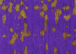 Фото - Обои Elitis Libero - 261952>