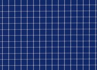 Фото - Ткани Sanderson Bramley Checks - 260468>