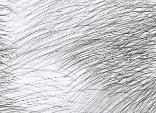 Фото - Обои Jannelli & Volpi Marimekko 6 - 568869>