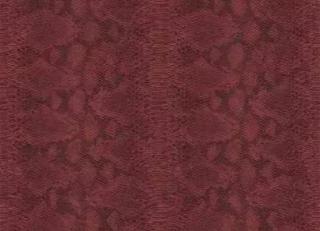 Фото - Обои Carl Robinson Edition 17 - 557829>