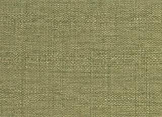 Фото - Обои Jannelli & Volpi Forest - 581868>