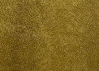 Фото - Ткани Gancedo Chromatic - 491041>