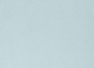 Фото - Ткани Foresti Home Collection Velluto di cotone Zeus - 563399>