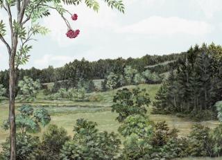 Фото - Обои Nobilis Marie Hartig Painted Worlds - 592885>