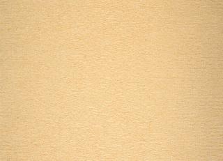 Фото - Обои Calcutta Botanic - 211878>