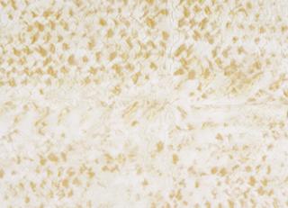 Фото - Обои Elitis Natural mood - 469435>