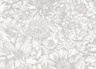 Фото - Обои Shinhan Nuevo - 555007>