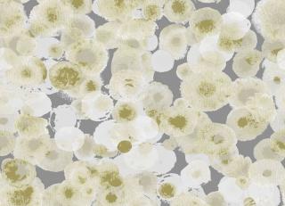 Фото - Обои Ich Dans Lemur Caribbean - 440844>