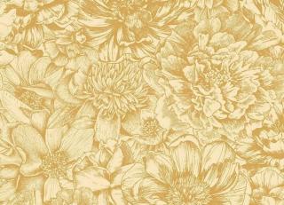 Фото - Обои Shinhan Nuevo - 555008>