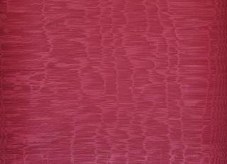 Фото - Ткани Dedar Iris - 510165>