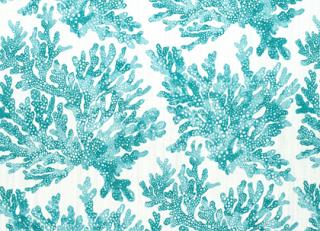 Фото - Ткани Thibaut Tropics - 529850>