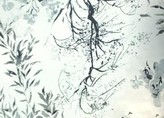 Фото - Обои Designers Guild Shanghai Garden - 250650>