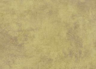 Фото - Обои Jannelli & Volpi Leonardo - 440219>