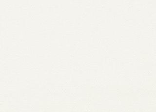 Фото - Ткани Clarke&Clarke Monsoon - 296435>