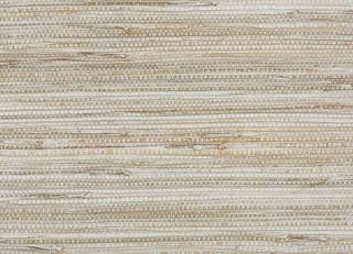 Фото - Обои Pierre Frey Graminees 1 - 312117>